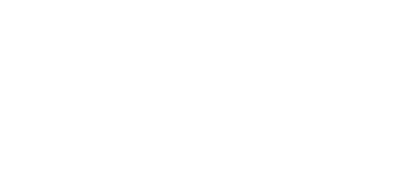 fnt-logo_simplify-complexity_rgb_negativ.png