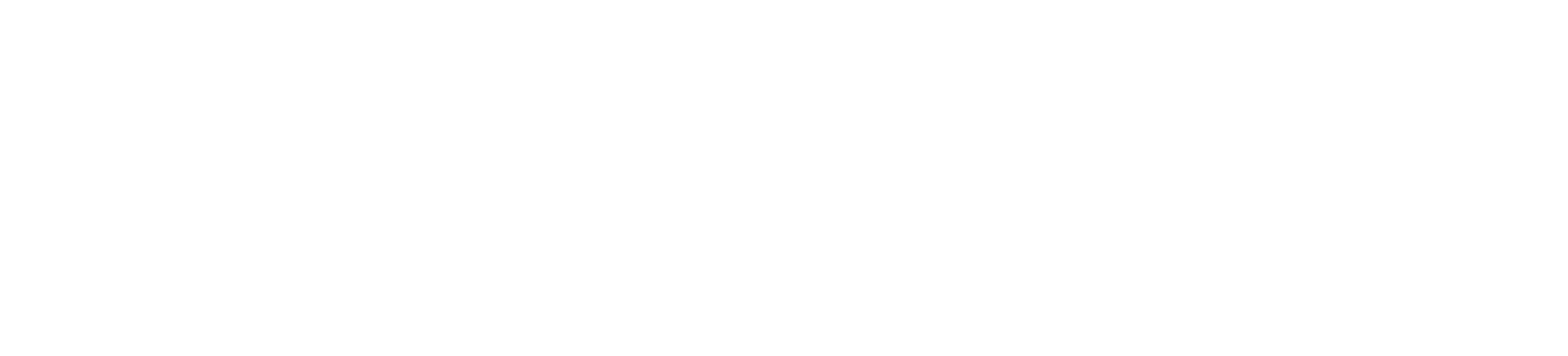 logo_riess_white.png