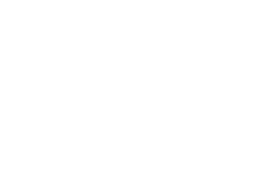 reveman_logo.webp