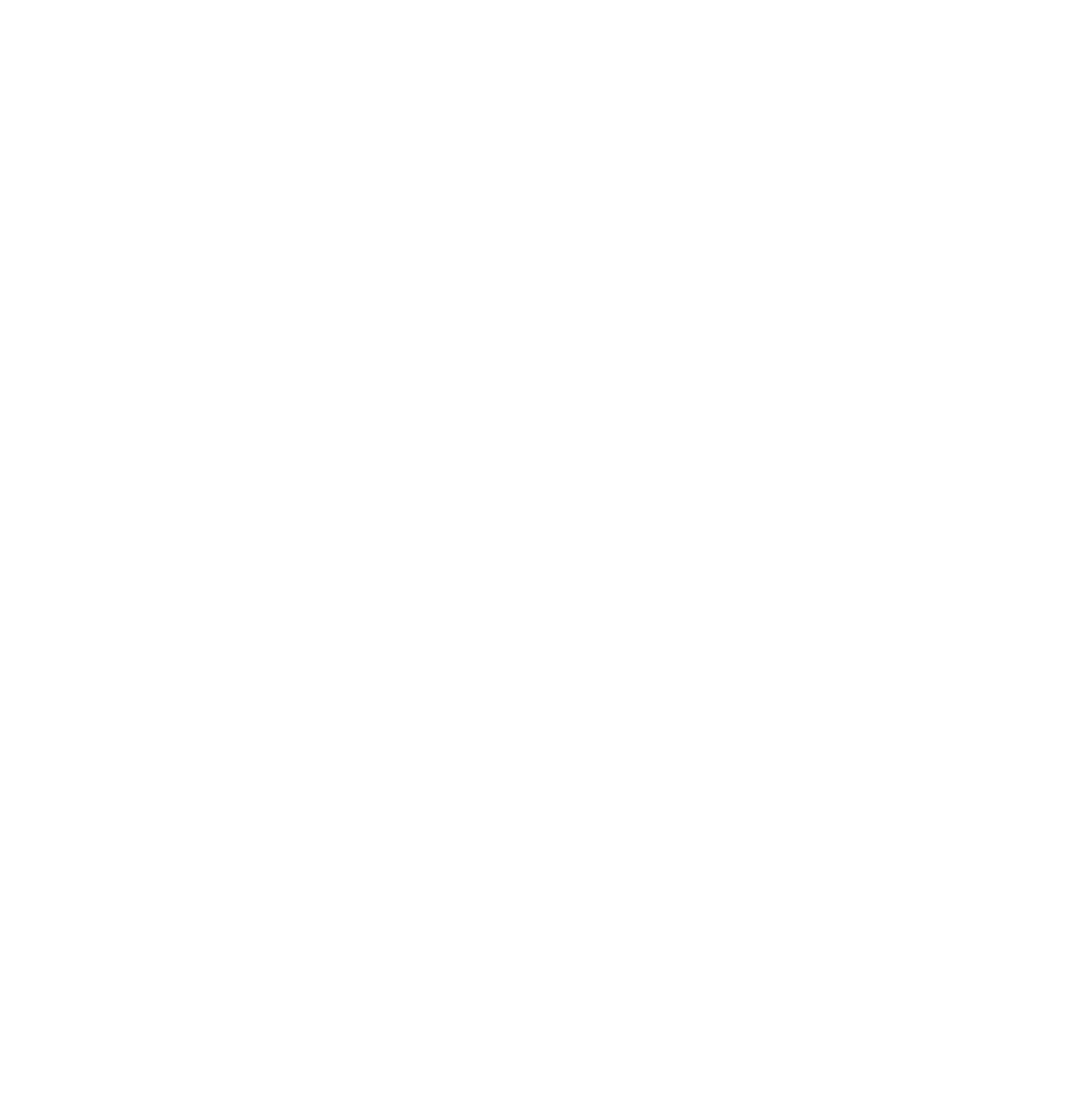 bdni-logo-white.png