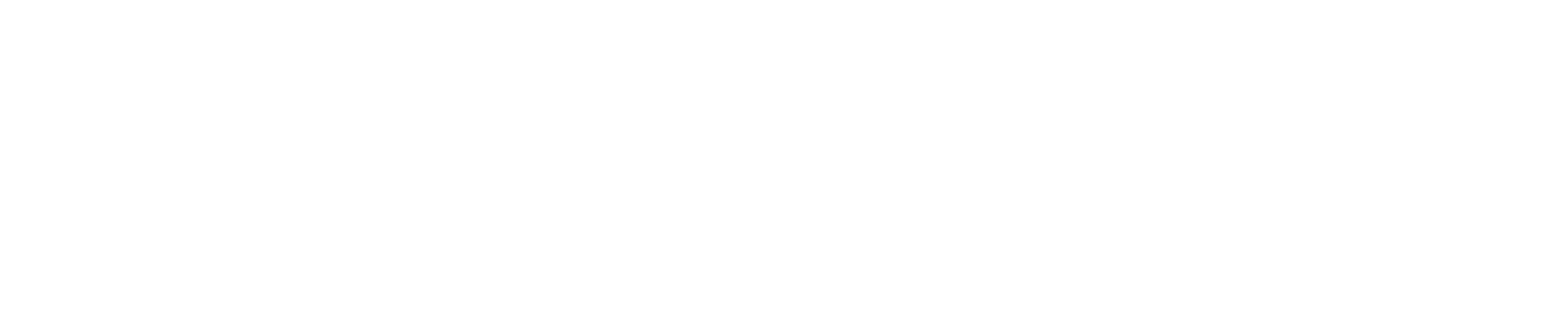 virz-logo-white.png